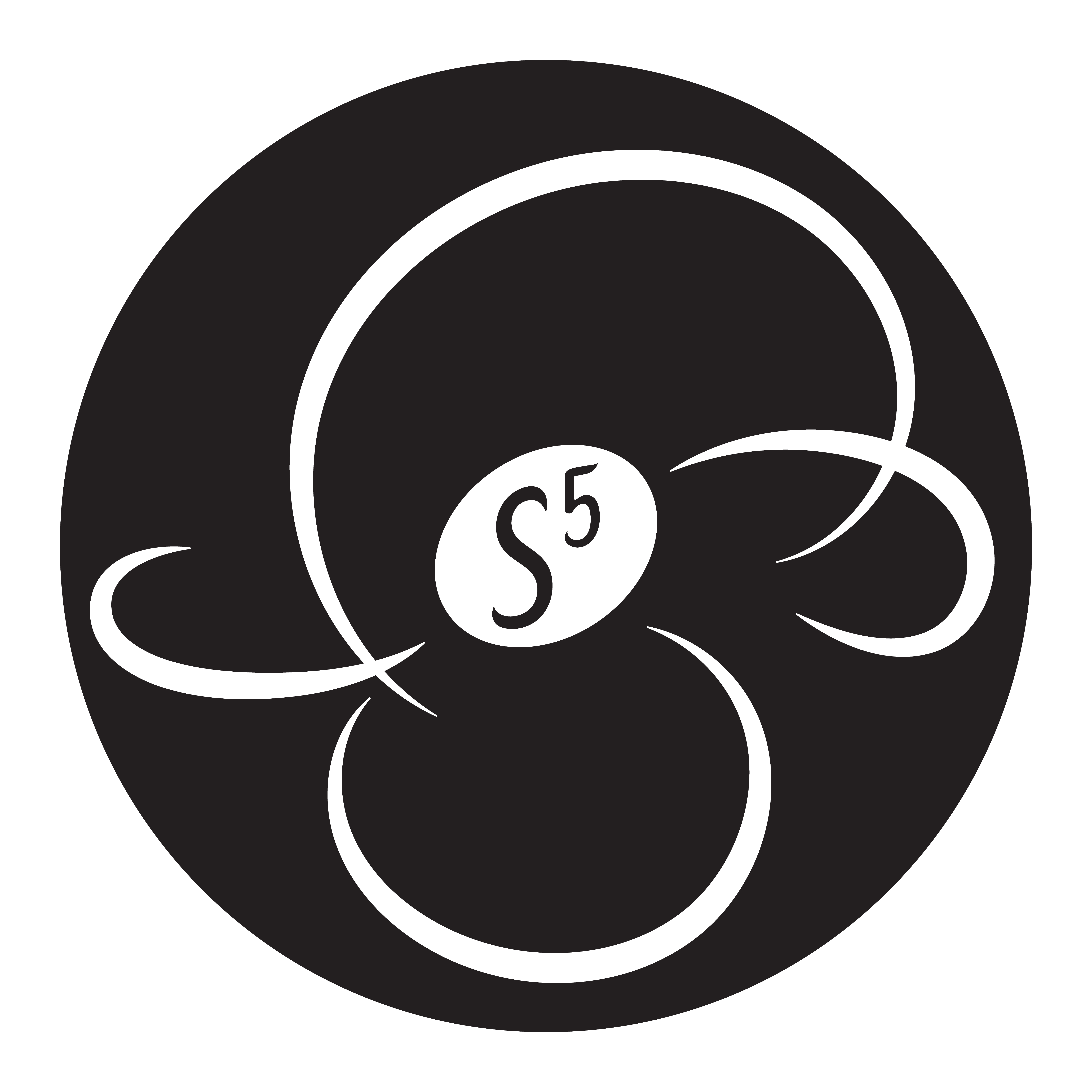 s5 logo