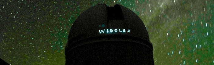 wigglez logo